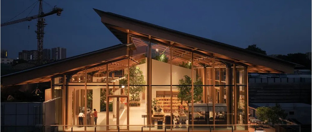 Timber 10