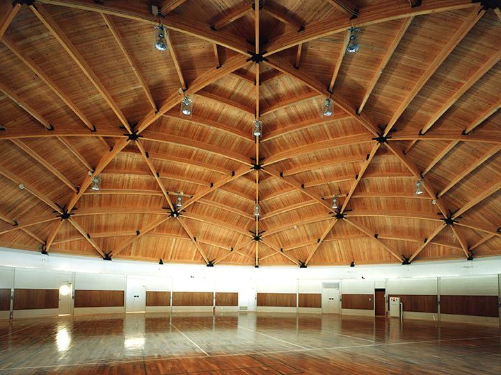 Timber 5