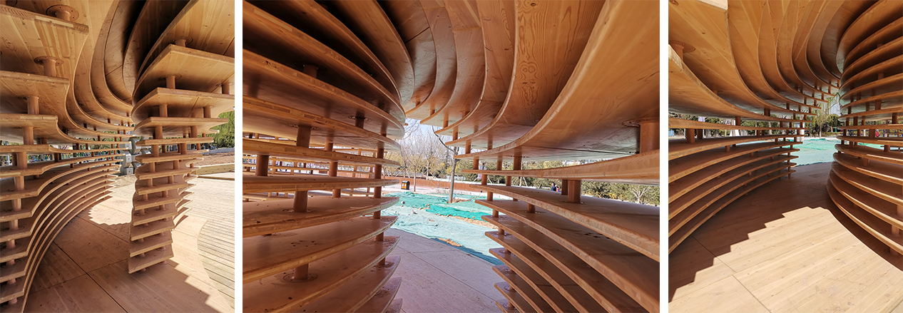 Timber 9